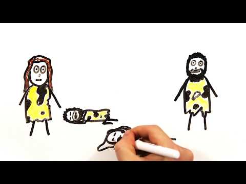 Lève-tôt VS couche-tard