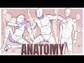 How To Study Anatomy