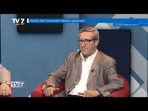 Tv7 con Voi del 15/6/2017 - Consorzio Veneto garanzie (3 di 3)