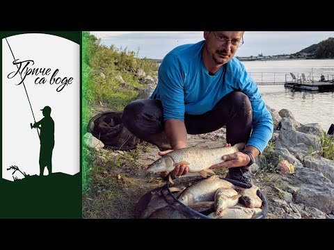 Priče sa vode ep. 60 24.11.2020. Dan krupnih deverika, Dunav kod Bezdana II deo