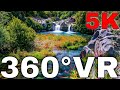 360 VR Jungle Walking Tour In Alcantara River Park Italy Sicily 5K Virtual Reality HD 4K