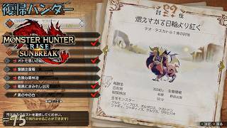 #75 【復帰ハンター】モンスターハンターライズ 実況プレイ