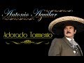 Antonio Aguilar    Adorado Tormento   Letra
