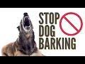 How To Quickly Stop Dog Barking 