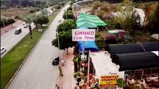 Konyaaltı Çiçek & Peyzaj Havadan Görüntü | Antalya