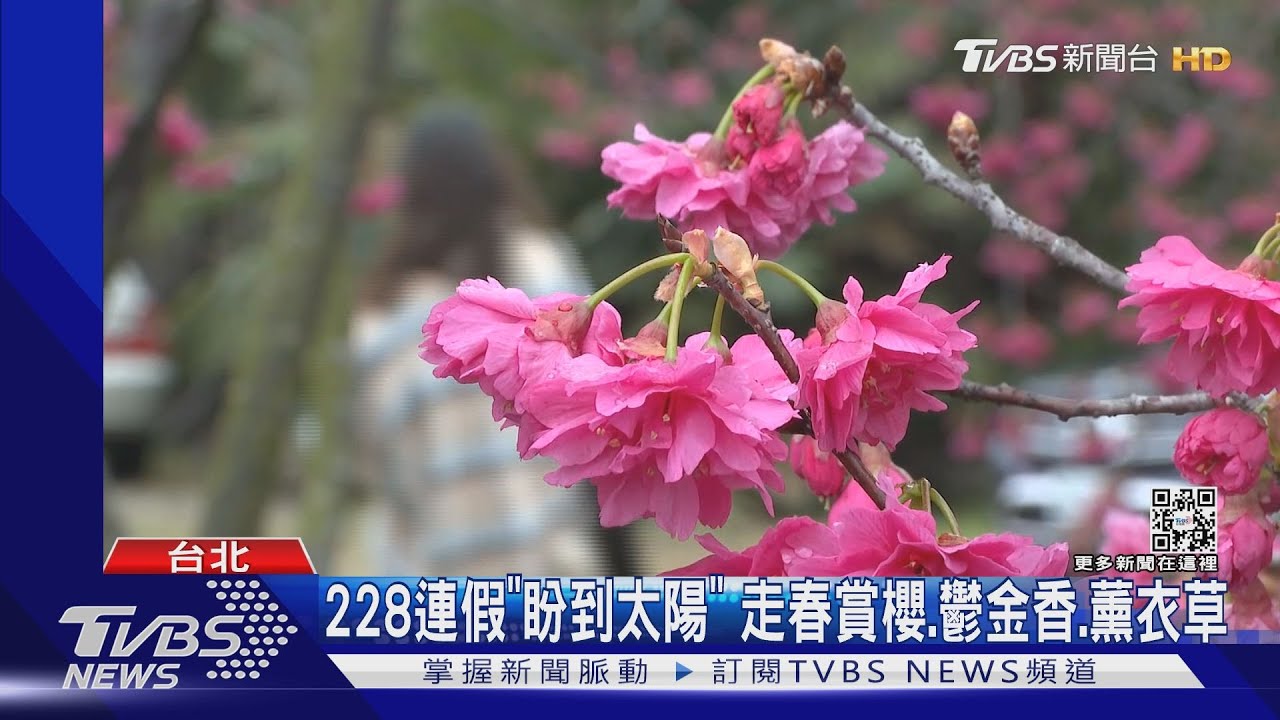 暖陽來了!一圖看228連假天氣 「北部3階變化」雨區曝