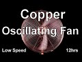 Copper Oscillating Fan Low Speed ASMR 12hrs