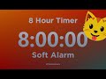 8 Hour Timer 🔴 (with Soft Alarm Sound) for Sleep and Relaxation