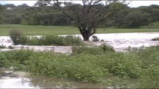 preview picture of video 'Carretera Teocaltiche-Jaralillo'