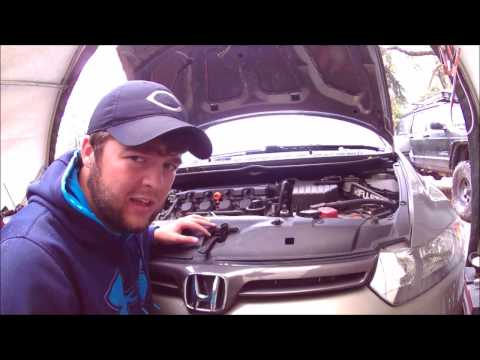 8th gen Honda Civic drl replacement: Nokya Hyper Yellow Bulbs