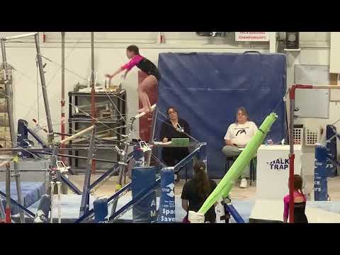 Level 3 vs napoleon bar