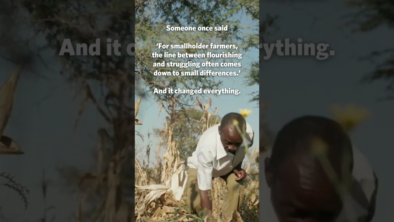 Do you know our founding story?