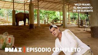 Thumbnail del capítulo