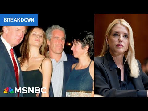 ‘Stinks of a coverup’: Trump admin reels, now begging Joe Rogan for help easing uproar over Epstein