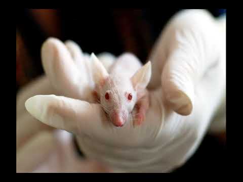 Mapa 3D terremoto Estambul