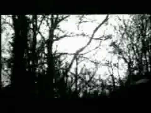 Twisted Urges video thumbnail