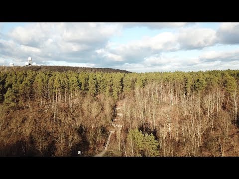 Berlin forest Grunewald - former gravelpit area in airview (4K)