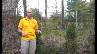 How to Water Newly Planted Trees and Shrubs ENGLISH GARDENS