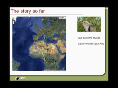 Follow that Cuckoo, BTO Conference 2011