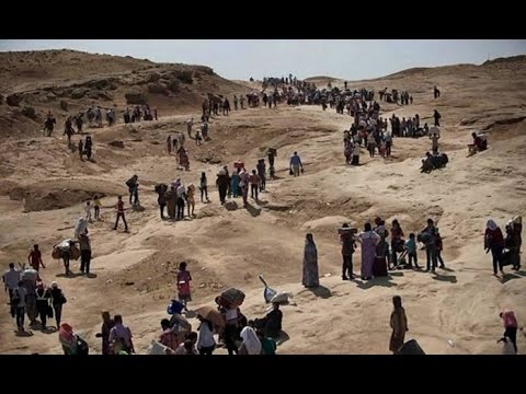 De 05/15 - LIVE: 2 ANOS DESDE O SURGIMENTO DA BESTA. DISSERAM OS PROFETAS ROBERT, RUBENS E RIVANILDO