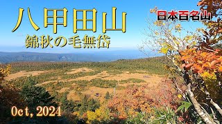 【八甲田山】毛無岱の紅葉