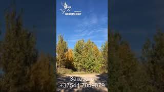 Видео Петарды Корсар 12 (K0212S) g2-RG2DJ9w8