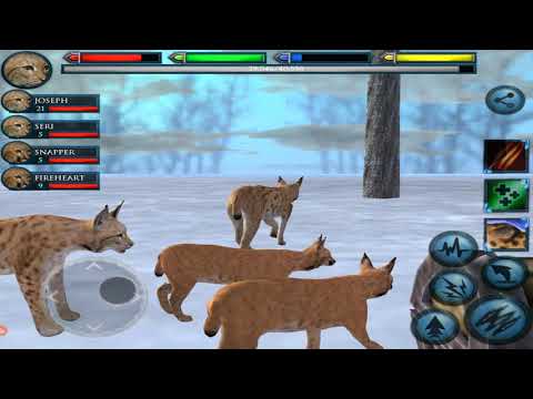 Ultimate Lynx Family Simulator, Ultimate Arctic Simulator, By Gluten Free Games - YouTube