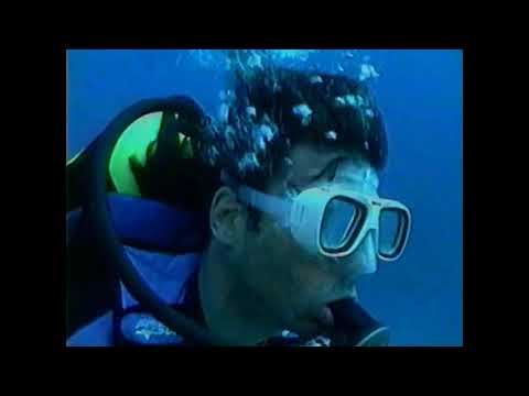 Tropical Heat S02E15 - Double Fault diver fight