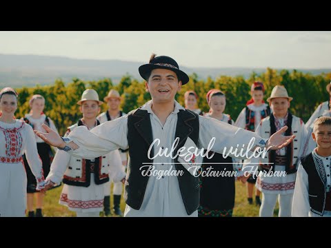 Bogdan Octavian Hurban - 🍇 Culesul viilor 🍇