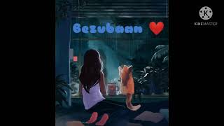 Bezubaan (Slowed×Reverb) | Piku | Lofi indian music |