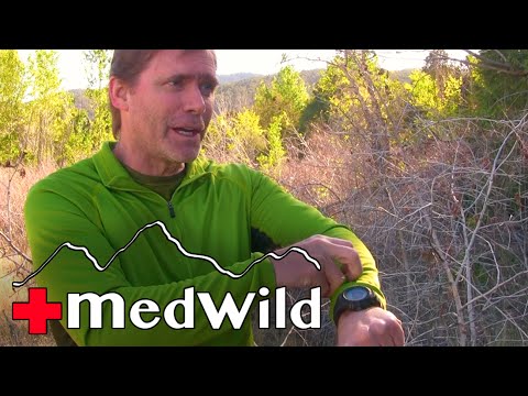 Wilderness Medicine: Snake Bite Treatment