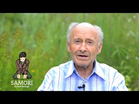 Moringa oleifera – Die Powerpflanze aus Nordwest Indien