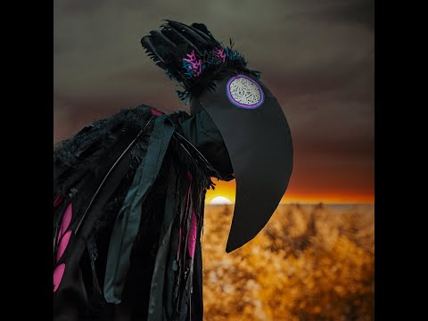 FRÄNDER - Svarta sparvens sorg (The Sorrow of the Black Sparrow) - Official Video