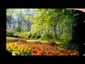 Поздравление учителя с днем рождения !!) 