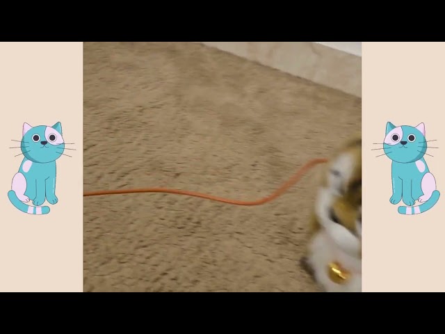 لعبة القط المتحرك مع ريموت سلكي