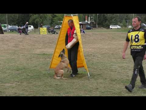 MM MSKS Zbraslav 2016 - Šesták Josef - Beri Kobwitler - obrana/defense