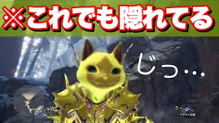隠れんぼ企画www