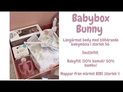 Alpababy babybox Bunny