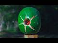 Watermelon vs Potato in Slow Motion - Smarter Every Day 155