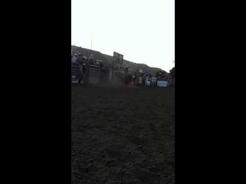 Brendon Clark 1st bull Hollister PBR