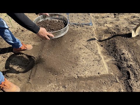 ネギを簡単に発芽させる方法 水やり温度 室内播種