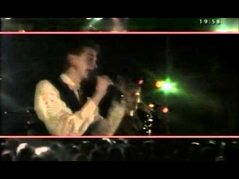 Hovery Covery - Kaks säravat silma