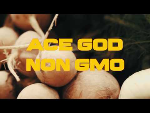 Ace The General - Ace GOD - Non Gmo