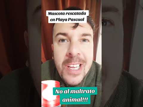 Maltrato animal  Playa Pascual #uruguay#playapascual#sanjose#maltratoanimal #argentina