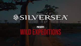 Into the Wild: Expedition Cruises with Silversea