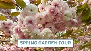 Tulip Garden Tour, Blooms & Blossom & What I’ll Do Differently Next Year // Cottoverdi