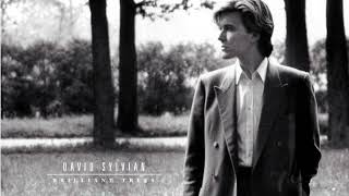 DAVID SYLVIAN - Pulling Punches / The Ink in the Well / Nostalgia / Brillant Trees (1984)
