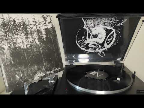 Muvitium - Under Natthimlens Tecken 2025 Vinyl FULL ALBUM