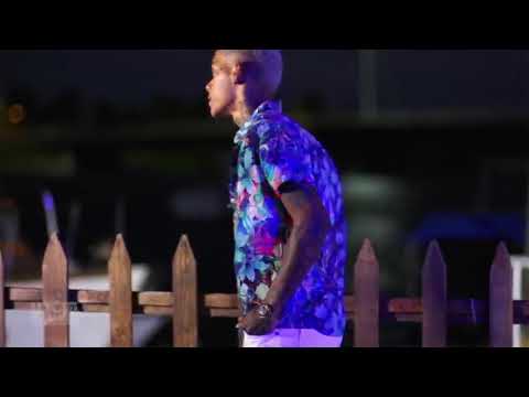 o verdadeiro dog malvado tem nome VT