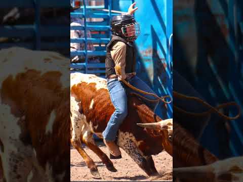 Steer riding